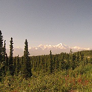 Picture 020